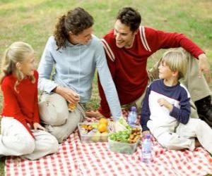 yapboz Piknik kırsal doğanın ve gıda zevk